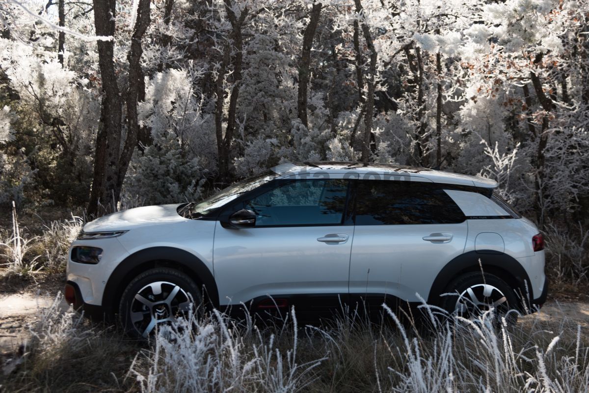 Citroen C4 Cactus