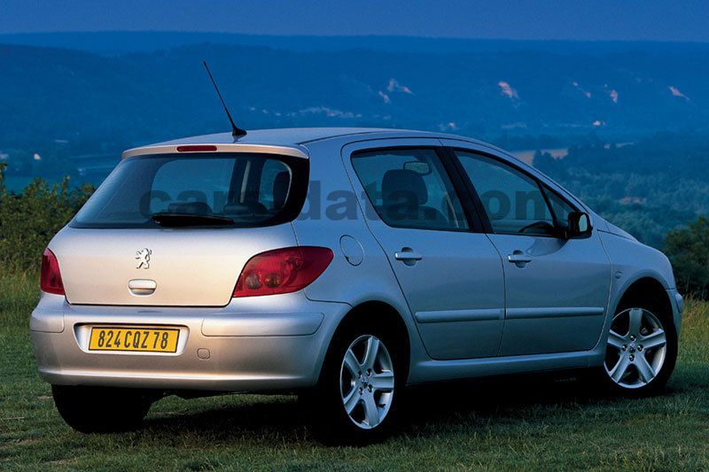 Peugeot 307 2001 imágenes (7 de 9)